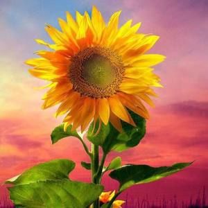 Meet your Posher, Carolyn